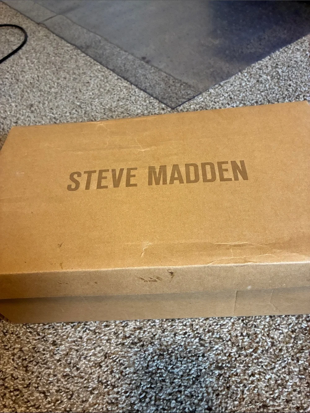 Steve Madden Black Velvet Slip-On Loafers with Gold Bit
